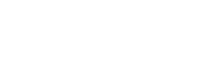 Organización Mundial del Movimiento Scout